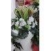 Arranjo verde com flores brancas